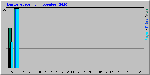 Hourly usage for November 2020